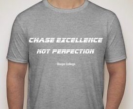 Chase Excellence, Not Perfection